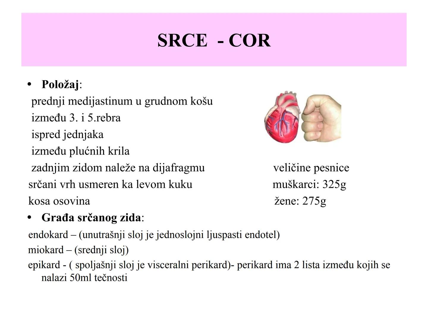 # Fiziologija
Kardiovaskularni sistem
Pulmonary Circulation
Arteries
Veins
Systemic Circulation
Cleveland
Clinic
©2021 # KARDIOVASKULA