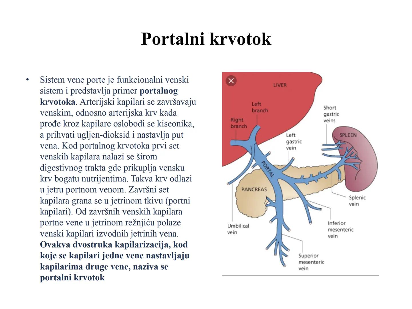 # Fiziologija
Kardiovaskularni sistem
Pulmonary Circulation
Arteries
Veins
Systemic Circulation
Cleveland
Clinic
©2021 # KARDIOVASKULA