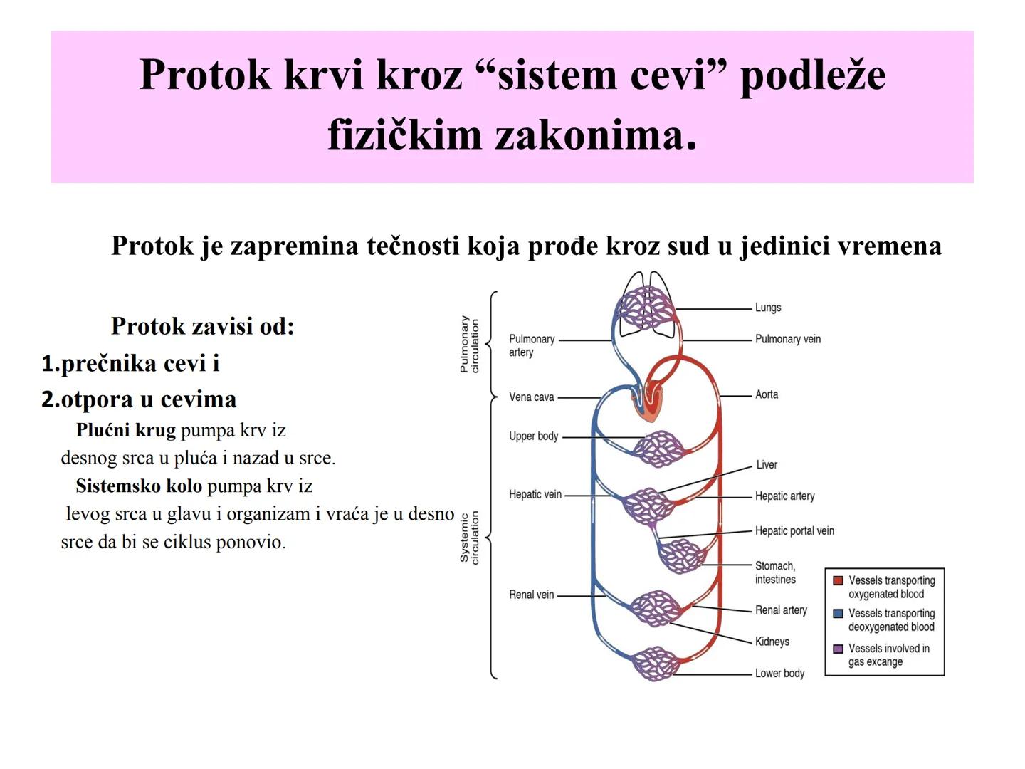 # Fiziologija
Kardiovaskularni sistem
Pulmonary Circulation
Arteries
Veins
Systemic Circulation
Cleveland
Clinic
©2021 # KARDIOVASKULA