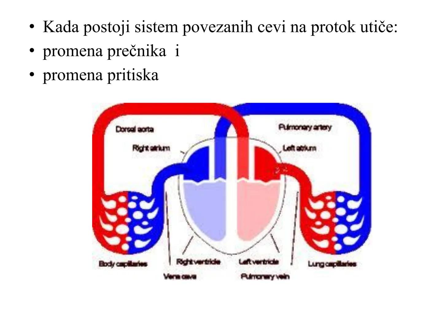 # Fiziologija
Kardiovaskularni sistem
Pulmonary Circulation
Arteries
Veins
Systemic Circulation
Cleveland
Clinic
©2021 # KARDIOVASKULA