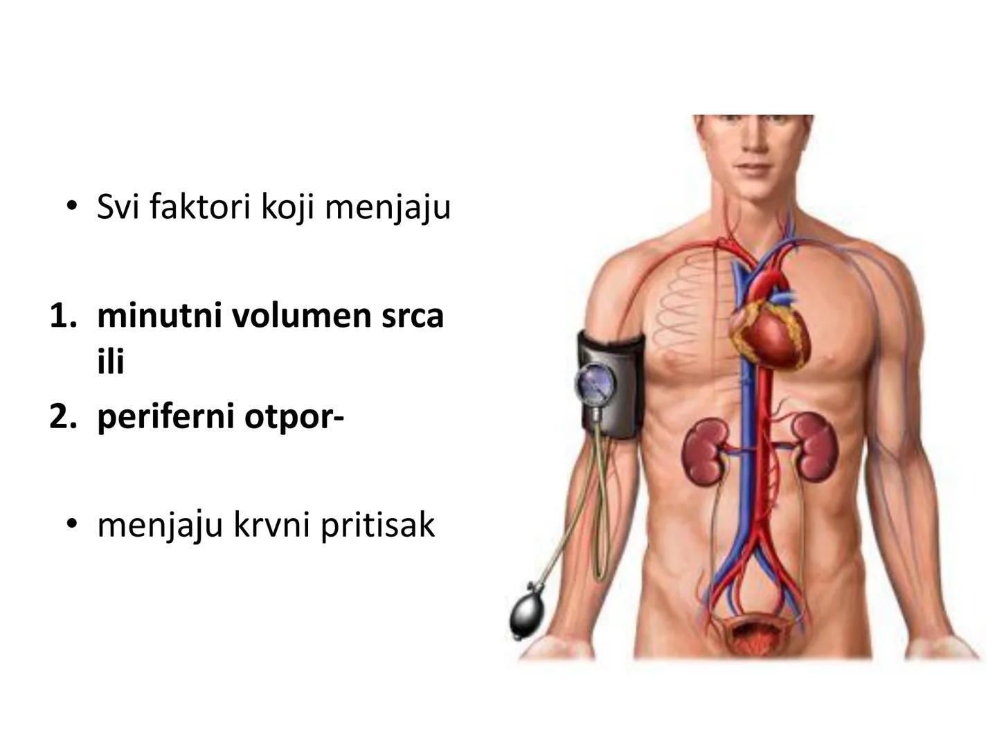 # Fiziologija
Kardiovaskularni sistem
Pulmonary Circulation
Arteries
Veins
Systemic Circulation
Cleveland
Clinic
©2021 # KARDIOVASKULA