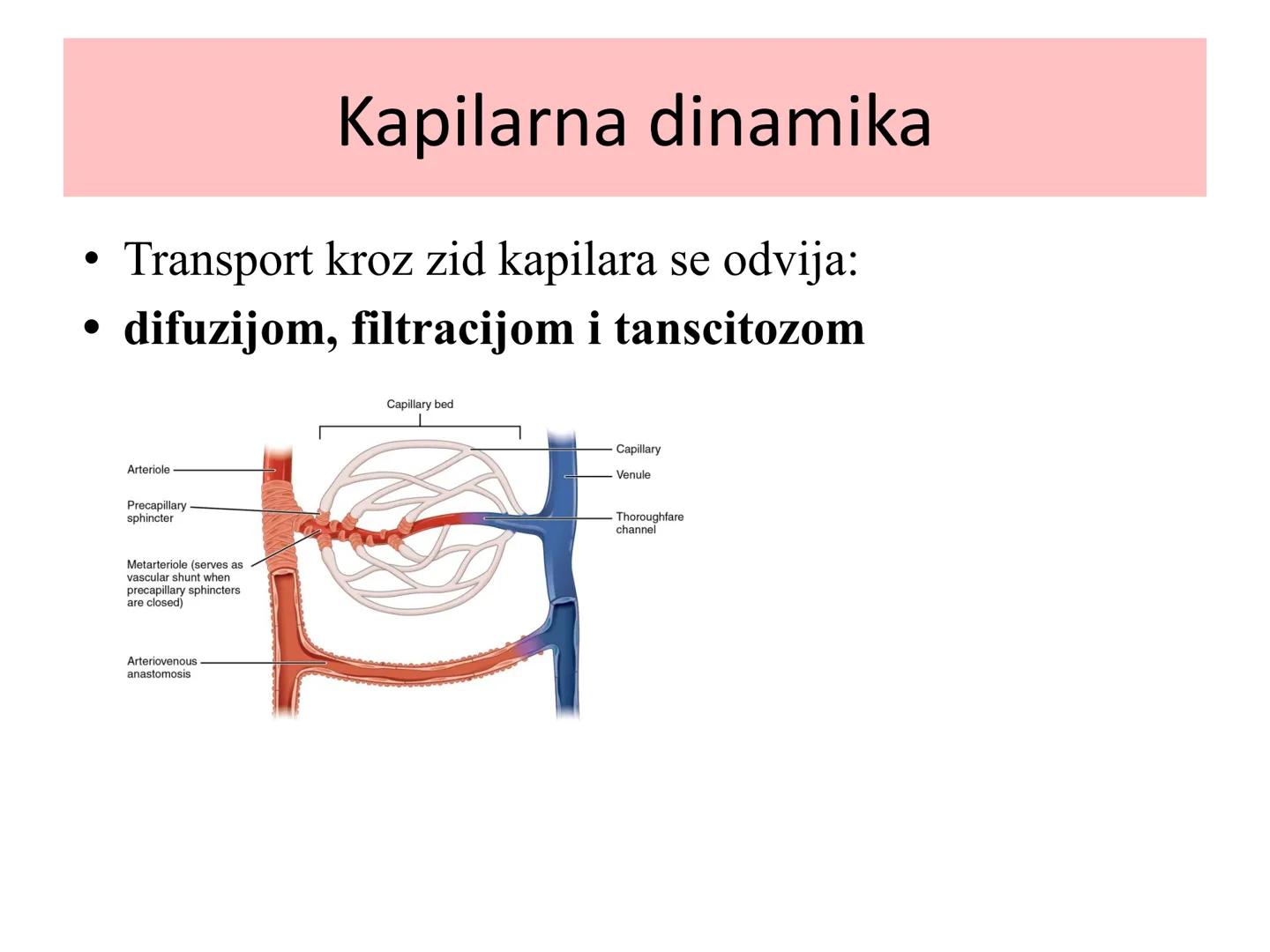 # Fiziologija
Kardiovaskularni sistem
Pulmonary Circulation
Arteries
Veins
Systemic Circulation
Cleveland
Clinic
©2021 # KARDIOVASKULA