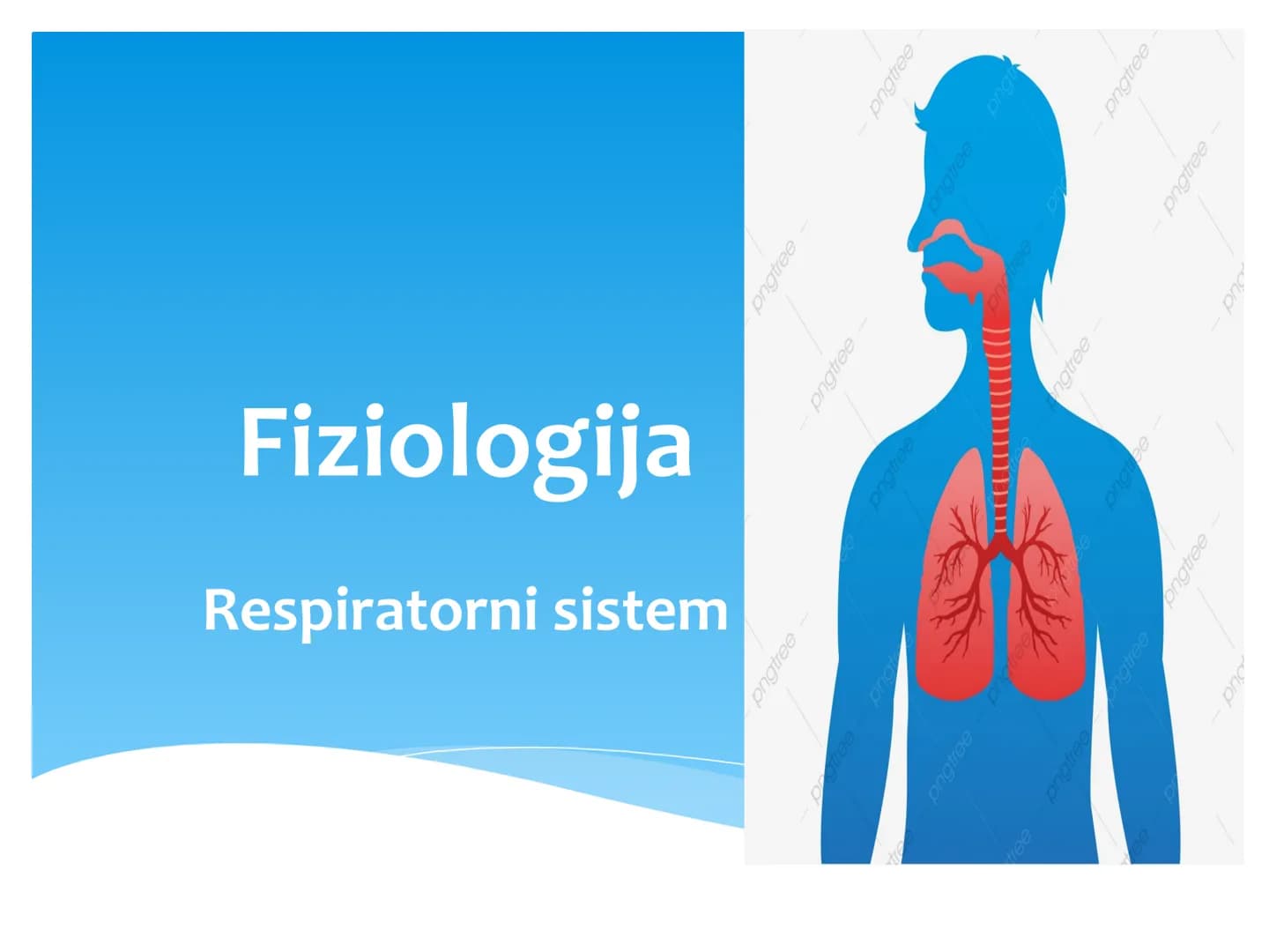 Fiziologija
Respiratorni sistem
pngtree
pngtree
pngtree
pngtree
ongtree
protiee png
pngtree- pngtree
ongtree-pngtr
Judea
pngtree