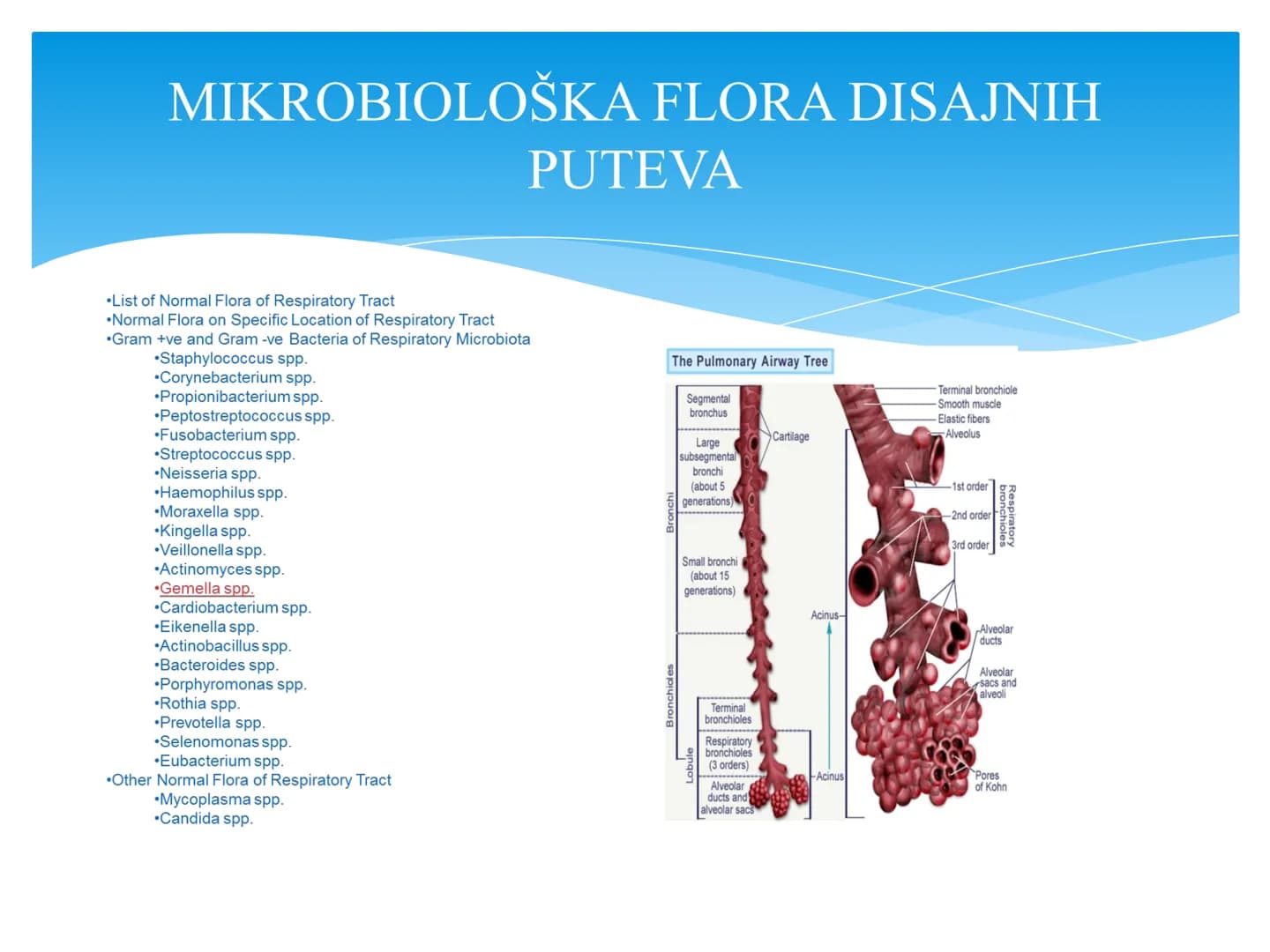 Fiziologija
Respiratorni sistem
pngtree
pngtree
pngtree
pngtree
ongtree
protiee png
pngtree- pngtree
ongtree-pngtr
Judea
pngtree