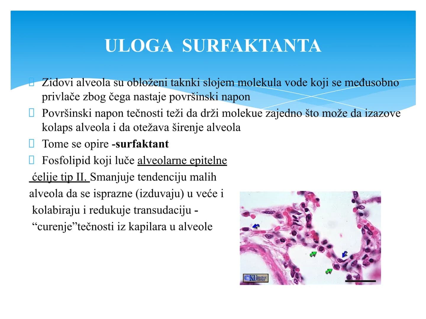 Fiziologija
Respiratorni sistem
pngtree
pngtree
pngtree
pngtree
ongtree
protiee png
pngtree- pngtree
ongtree-pngtr
Judea
pngtree