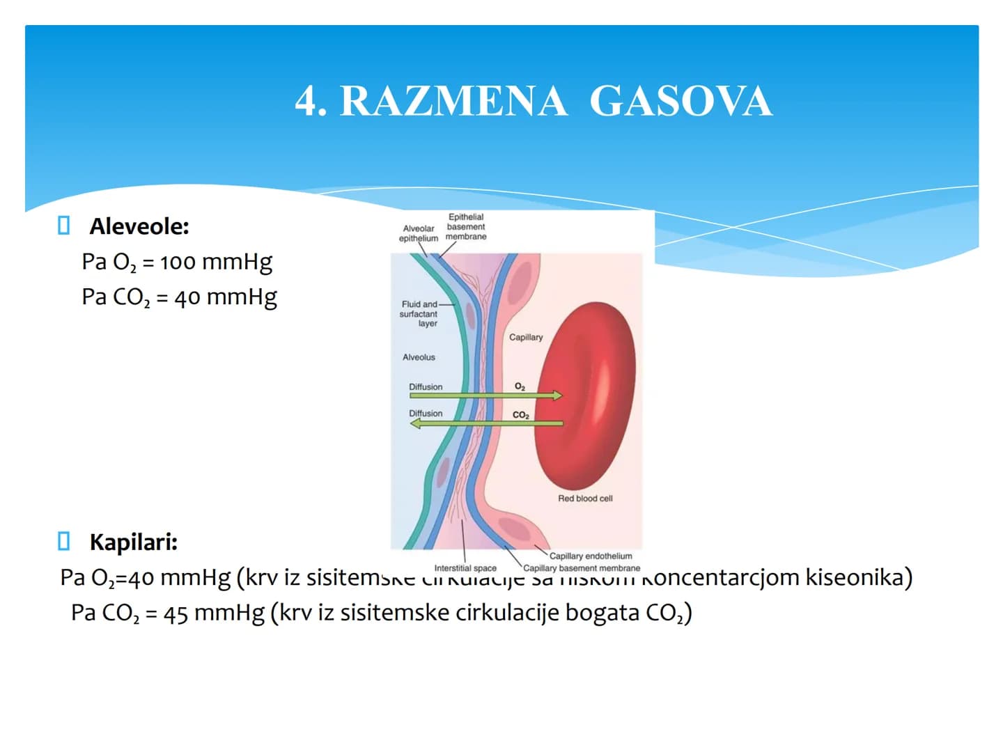 Fiziologija
Respiratorni sistem
pngtree
pngtree
pngtree
pngtree
ongtree
protiee png
pngtree- pngtree
ongtree-pngtr
Judea
pngtree