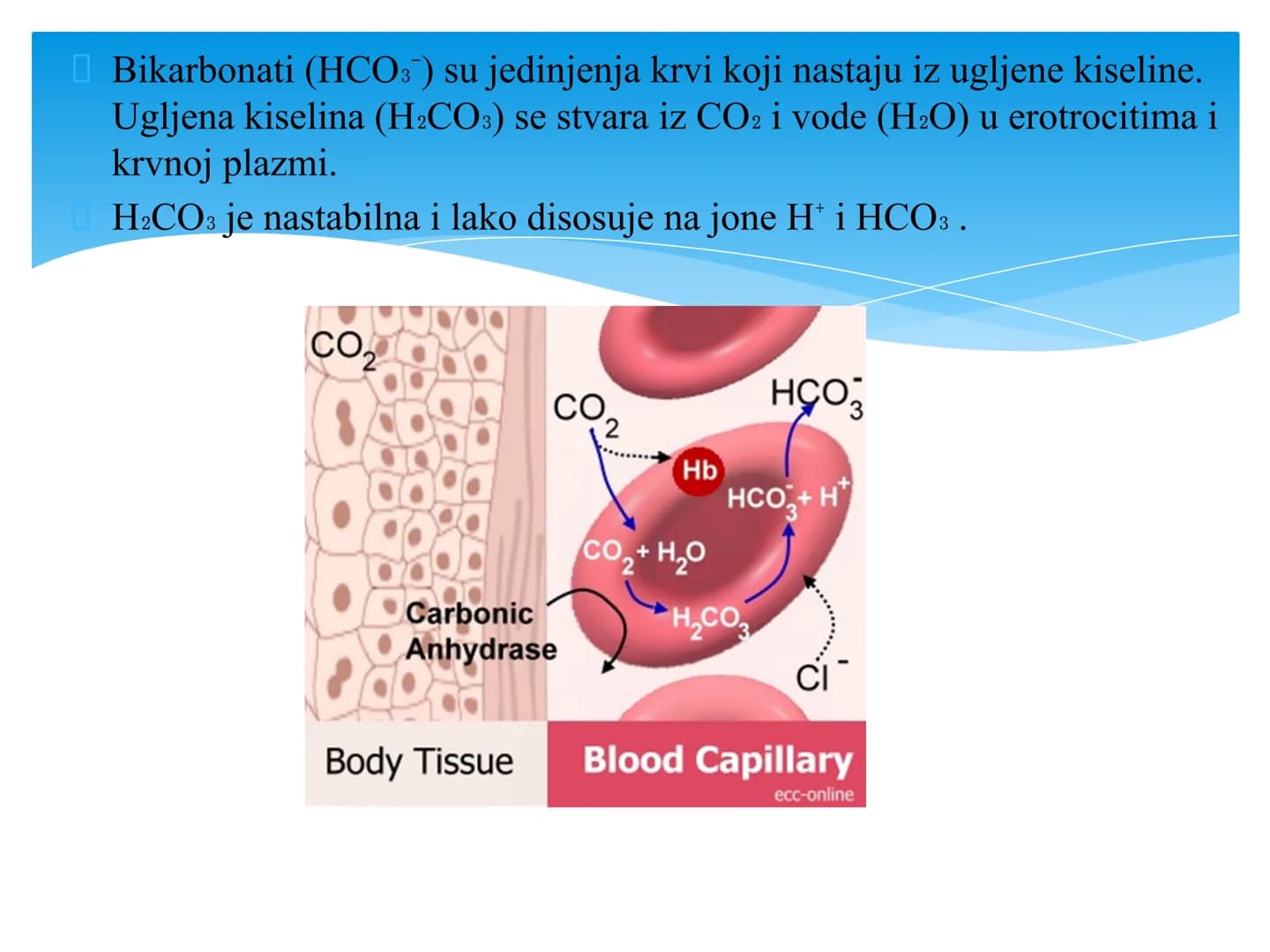 Fiziologija
Respiratorni sistem
pngtree
pngtree
pngtree
pngtree
ongtree
protiee png
pngtree- pngtree
ongtree-pngtr
Judea
pngtree