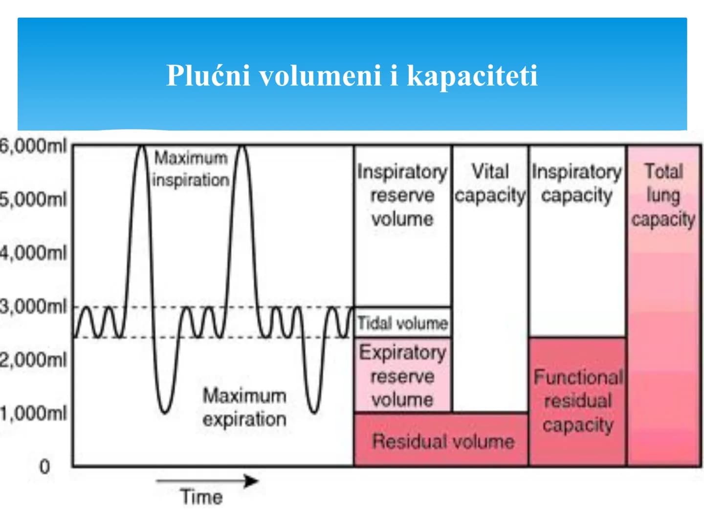Fiziologija
Respiratorni sistem
pngtree
pngtree
pngtree
pngtree
ongtree
protiee png
pngtree- pngtree
ongtree-pngtr
Judea
pngtree
