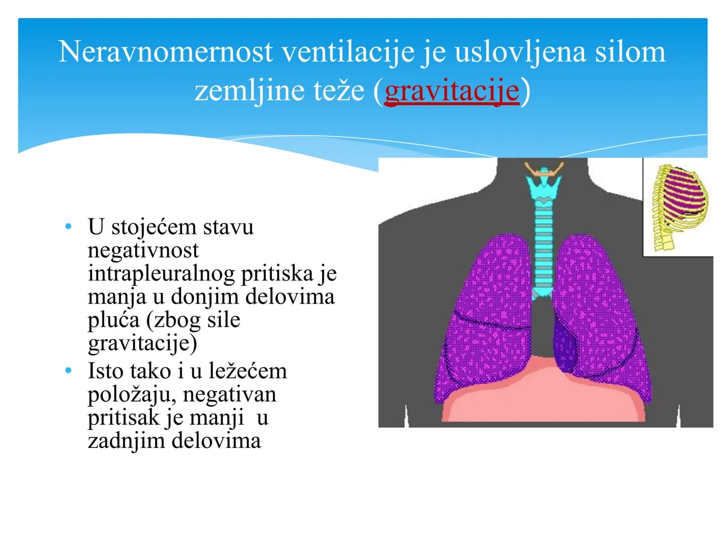 Fiziologija
Respiratorni sistem
pngtree
pngtree
pngtree
pngtree
ongtree
protiee png
pngtree- pngtree
ongtree-pngtr
Judea
pngtree
