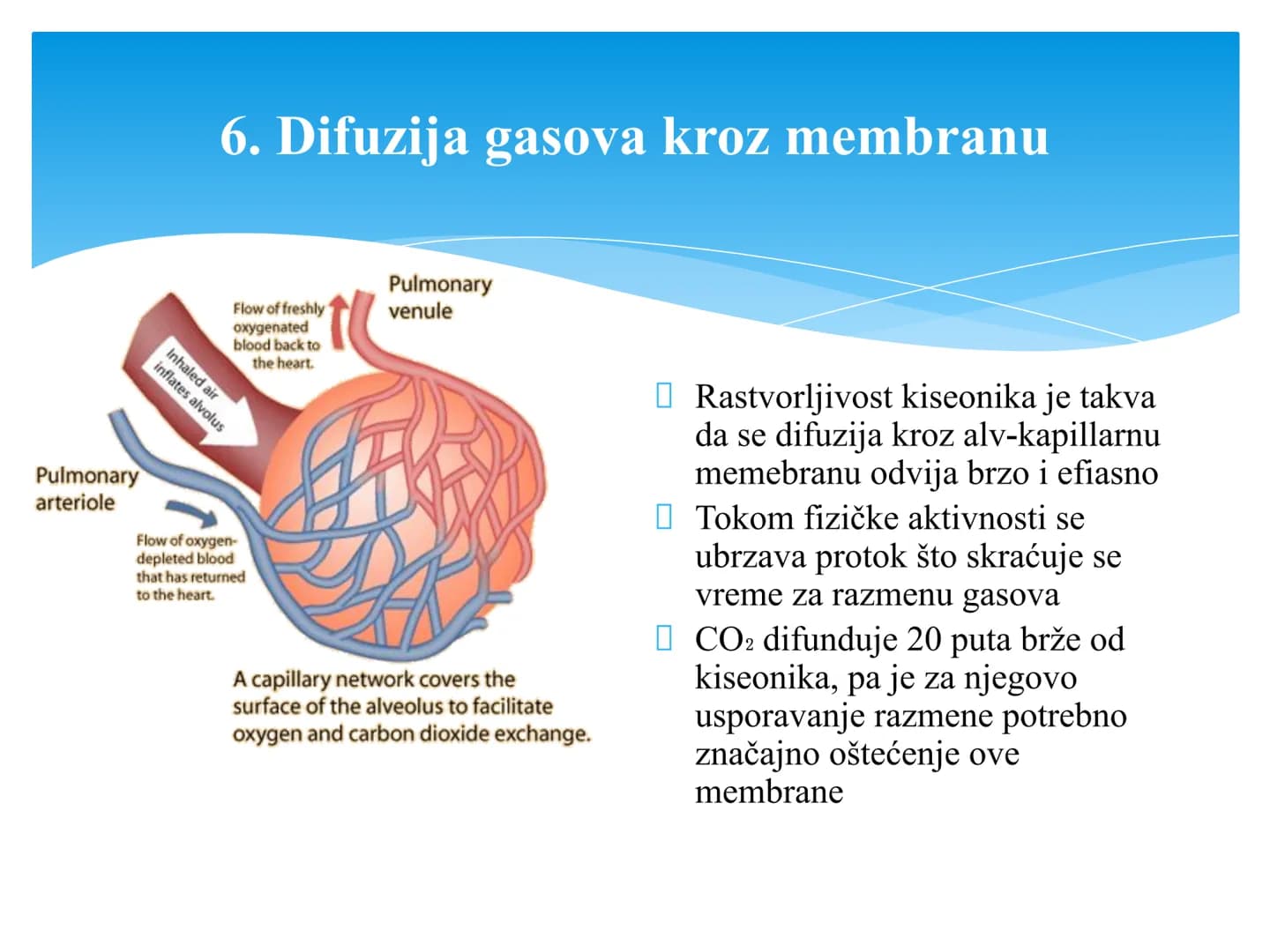 Fiziologija
Respiratorni sistem
pngtree
pngtree
pngtree
pngtree
ongtree
protiee png
pngtree- pngtree
ongtree-pngtr
Judea
pngtree