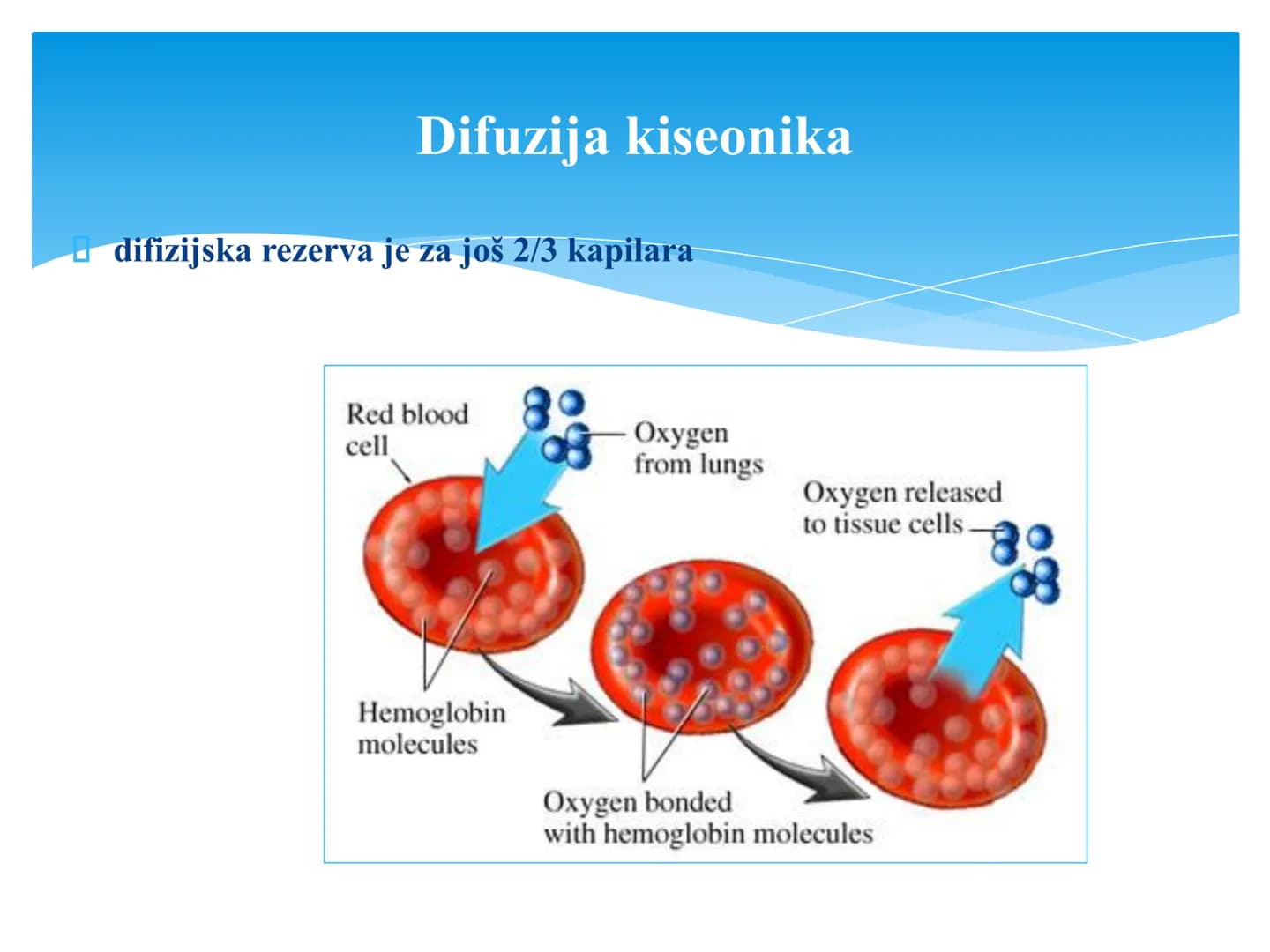 Fiziologija
Respiratorni sistem
pngtree
pngtree
pngtree
pngtree
ongtree
protiee png
pngtree- pngtree
ongtree-pngtr
Judea
pngtree