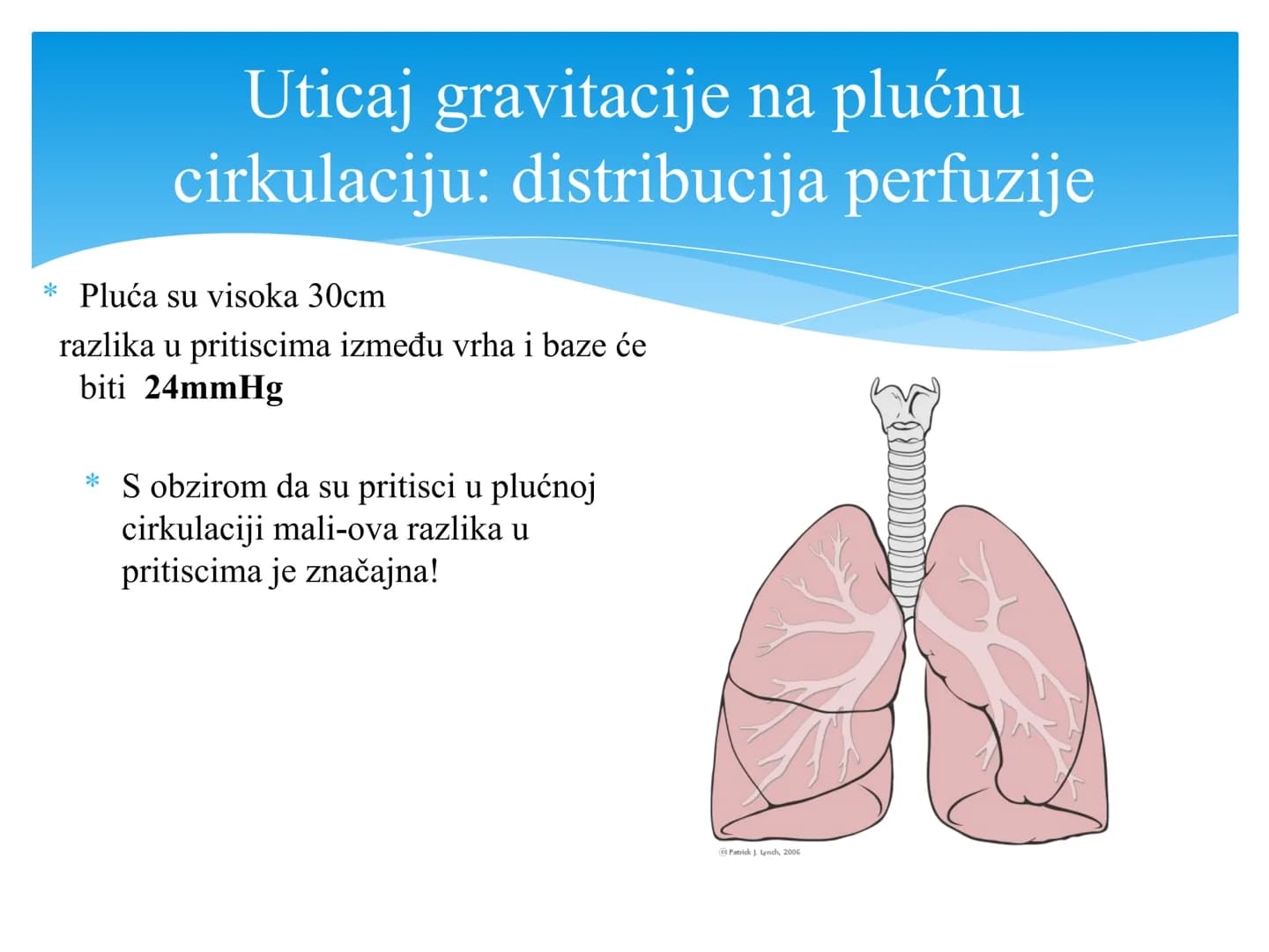 Fiziologija
Respiratorni sistem
pngtree
pngtree
pngtree
pngtree
ongtree
protiee png
pngtree- pngtree
ongtree-pngtr
Judea
pngtree