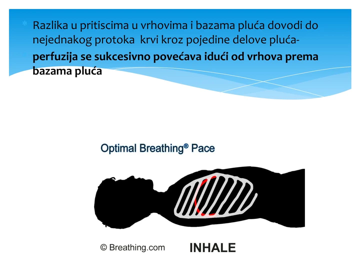 Fiziologija
Respiratorni sistem
pngtree
pngtree
pngtree
pngtree
ongtree
protiee png
pngtree- pngtree
ongtree-pngtr
Judea
pngtree