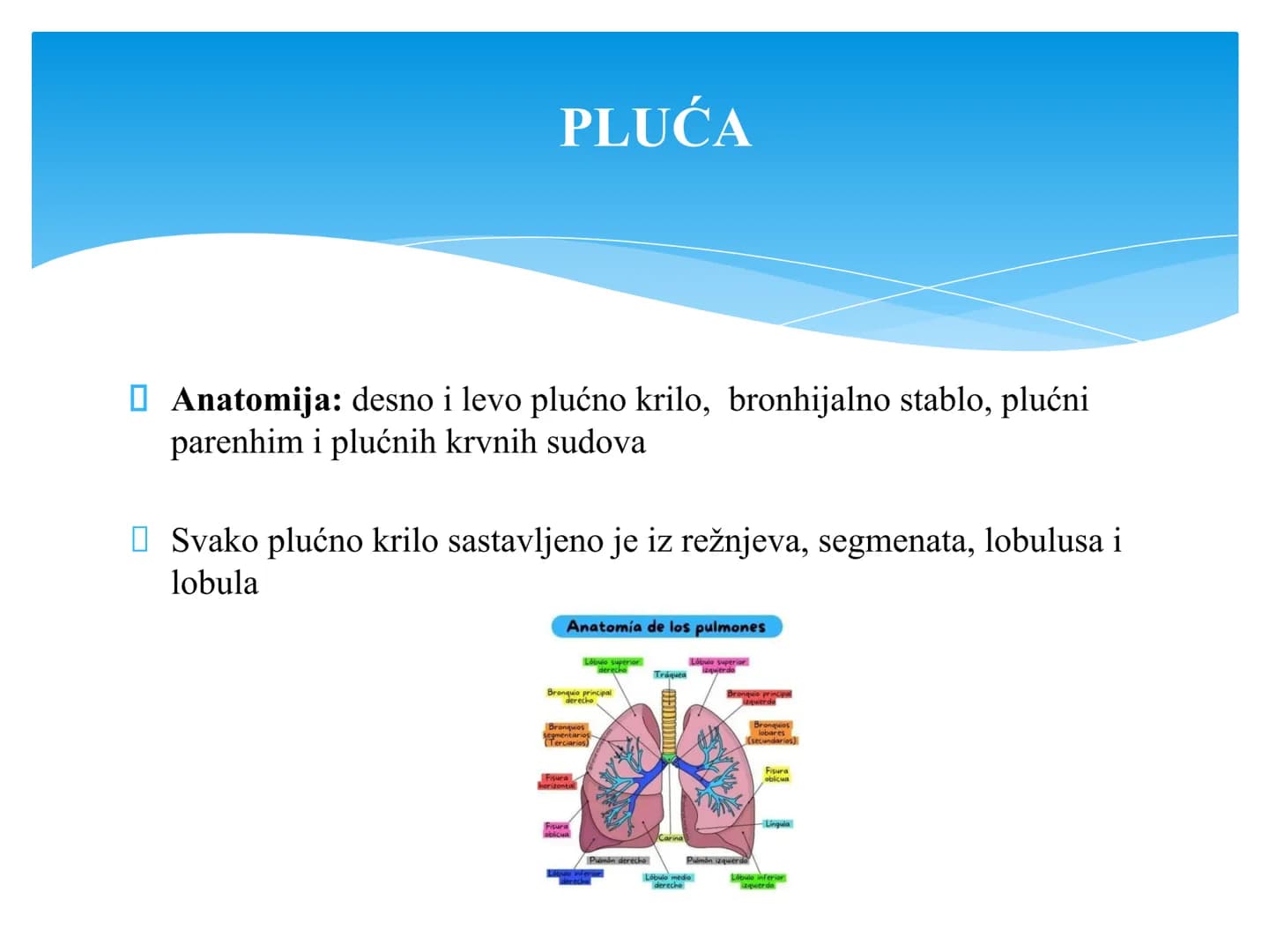 Fiziologija
Respiratorni sistem
pngtree
pngtree
pngtree
pngtree
ongtree
protiee png
pngtree- pngtree
ongtree-pngtr
Judea
pngtree