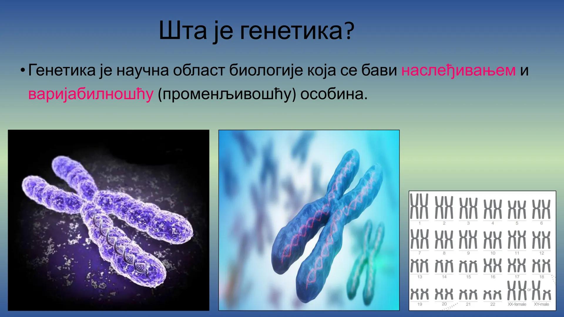 Г Е Н Е Т И К А - Препоручујем да пре читања лекције погледате видео на
следећем линку, има и бољих објашњења, али овде имате и
превод на ср