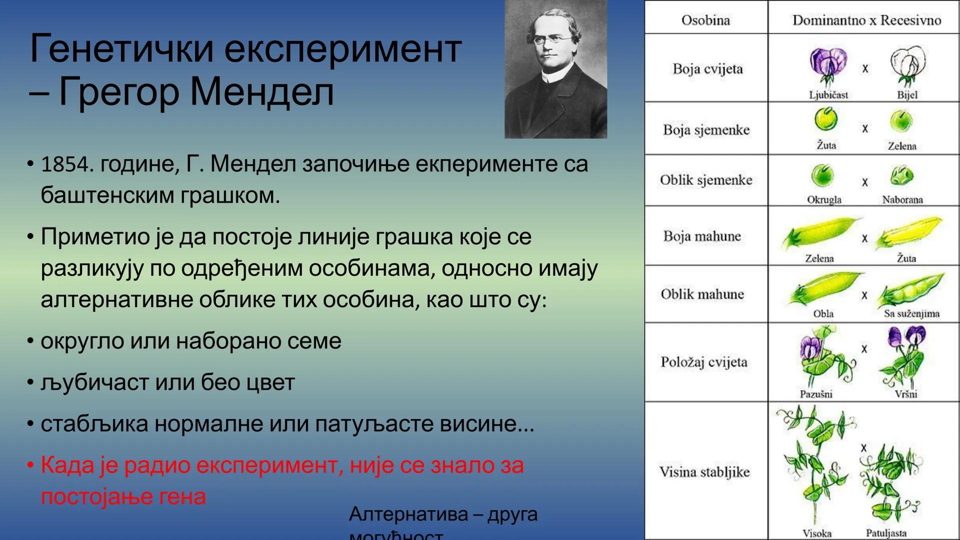 Г Е Н Е Т И К А - Препоручујем да пре читања лекције погледате видео на
следећем линку, има и бољих објашњења, али овде имате и
превод на ср