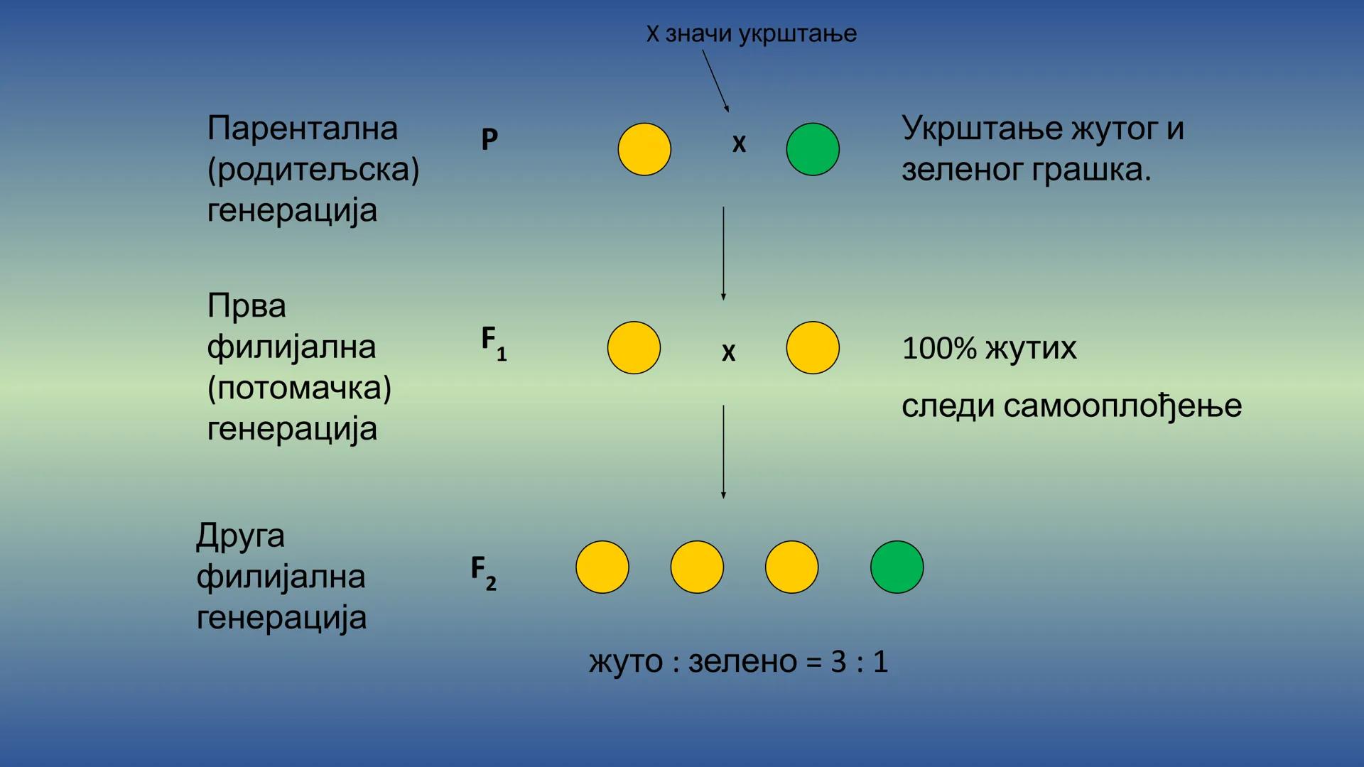 Г Е Н Е Т И К А - Препоручујем да пре читања лекције погледате видео на
следећем линку, има и бољих објашњења, али овде имате и
превод на ср