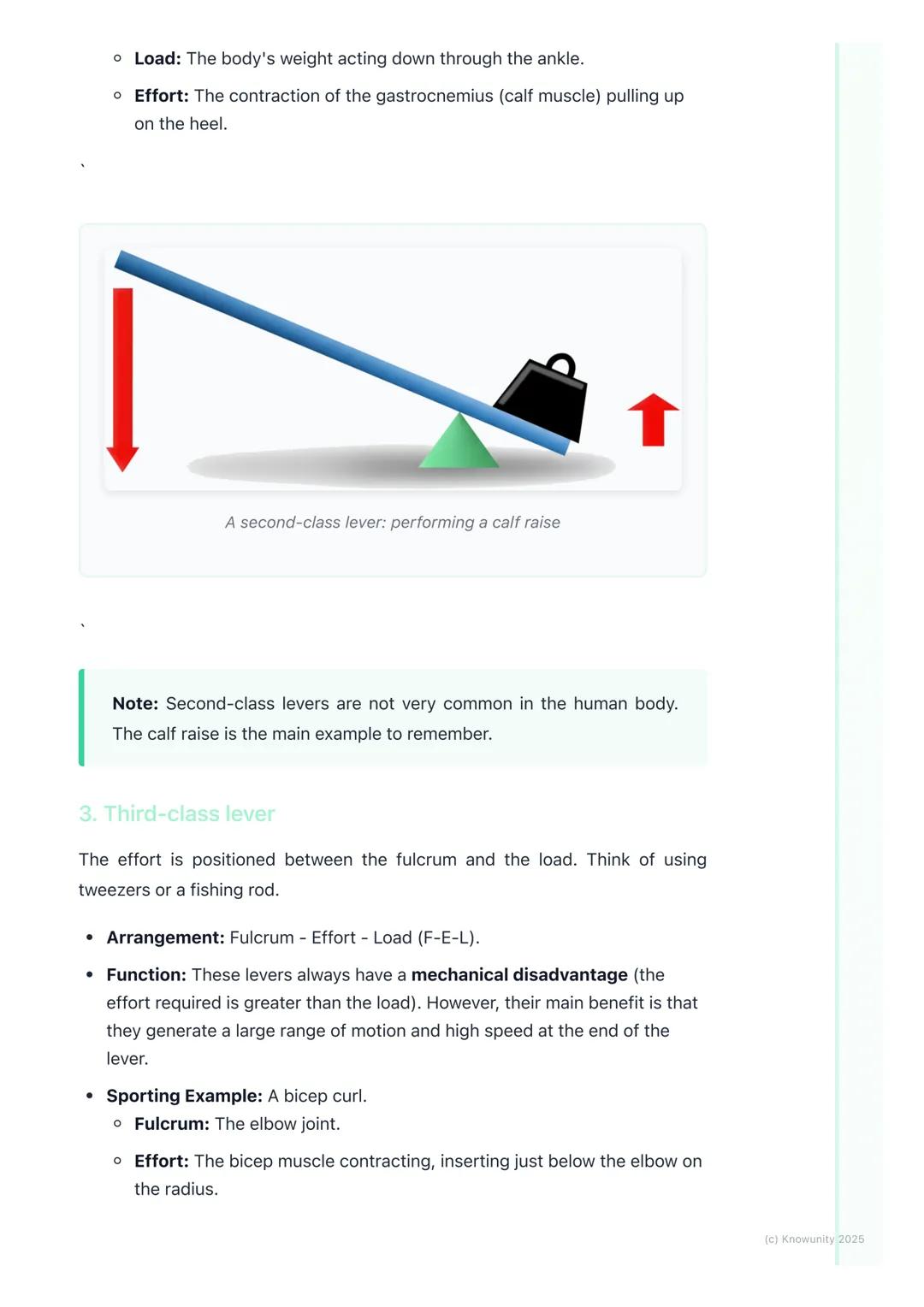 # Levers in the Human Body
What are levers in the body?
A lever is a rigid bar that moves on a fixed point called a fulcrum when a force
(
