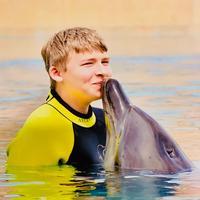 user profile picture